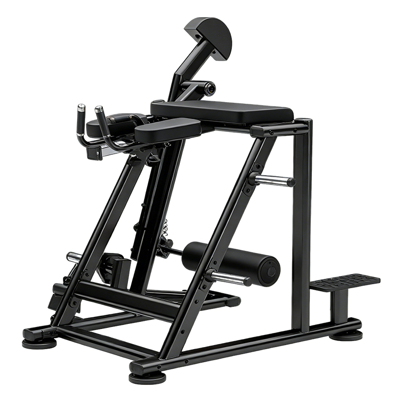 Changxu Fitness Reverse Hyper Extension LD07