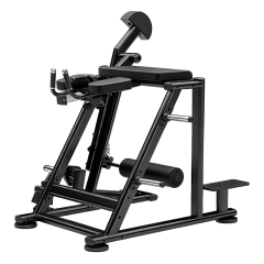 Changxu Fitness Reverse Hyper Extension LD07