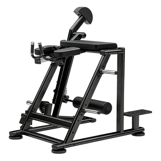 Changxu Fitness Reverse Hyper Extension LD07