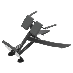 Changxu Fitness 45° Back Extension CXY-06