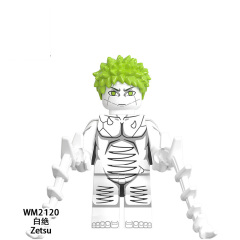 WM2120