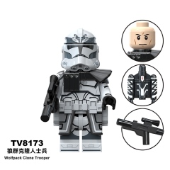 TV8173