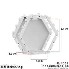PJ1001