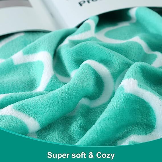 Blanket-Microfiber Lightweight Plush Reversible Throw Blanket-Aqua Green and White