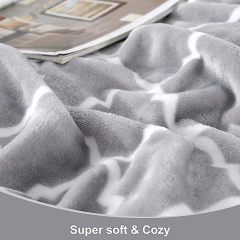 Blanket-Microfiber Lightweight Plush Reversible Throw Blanket-Grey and White