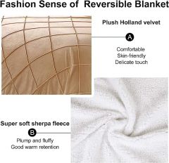 Blanket-Microfiber Lightweight Plush Reversible Throw Blanket-Beige