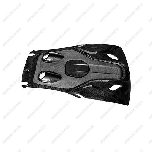 McLaren 540/570 Upgrade 600LT Tail Cover