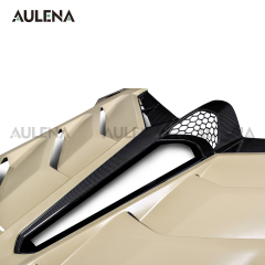 Lamborghini LP700/LP720 Upgrade SVI Style Aulena Tail Cover