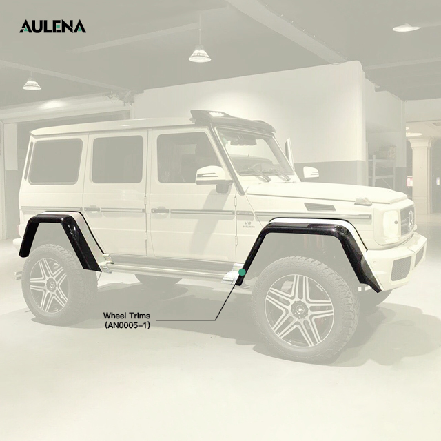 Mercedes-Benz G-Class 4*4 OEM Style dry carbon performance body kit