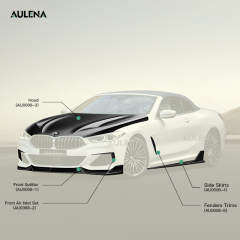 BMW 8 Series(G14) Aulena Design dry carbon performance body kit