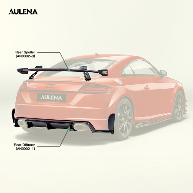 Audi TT/TTS/TTRS Aulena Style dry carbon performance body kit
