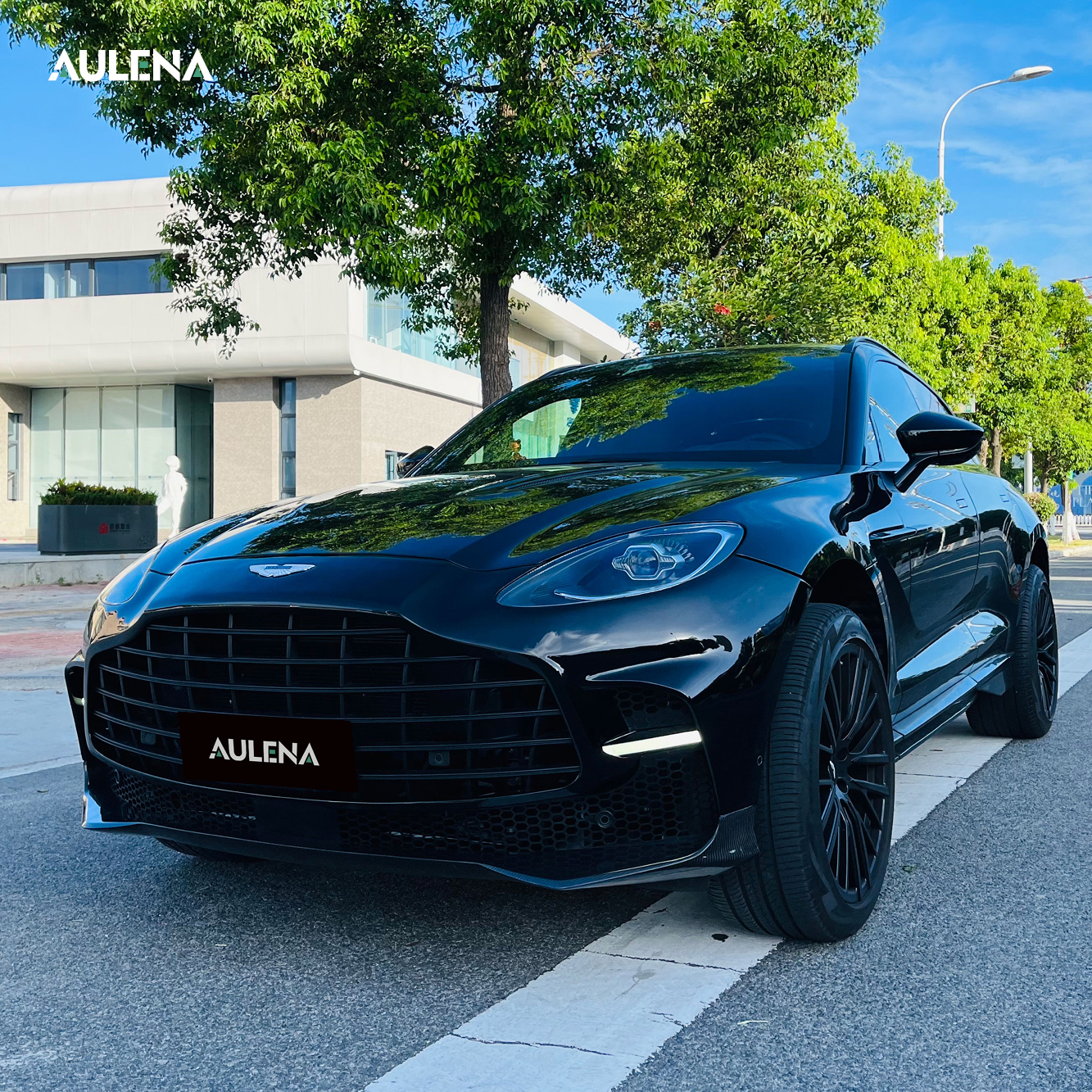 Aston Martin DBX -707 Aulena Design dry carbon performance body kit