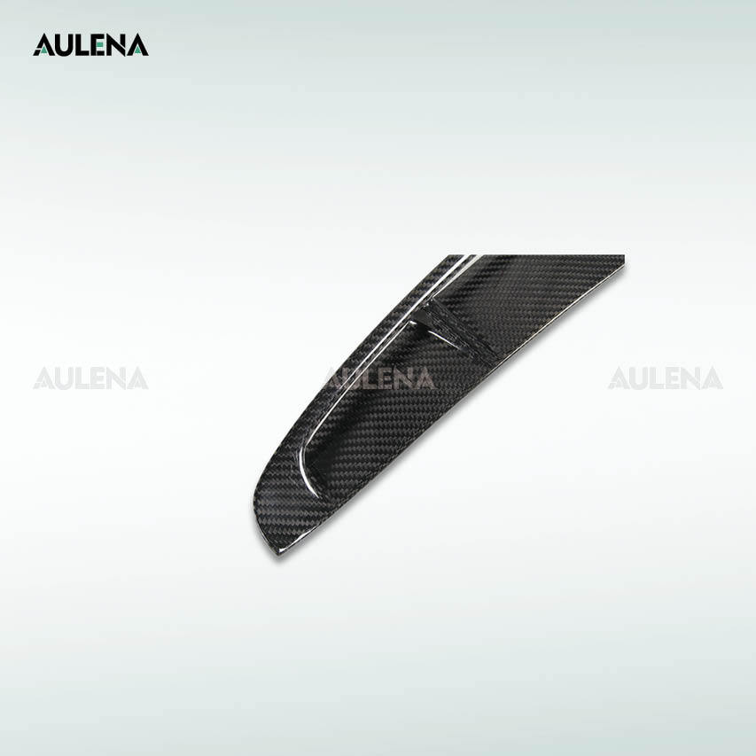Porsche Panamera Aulena Fenders Trims