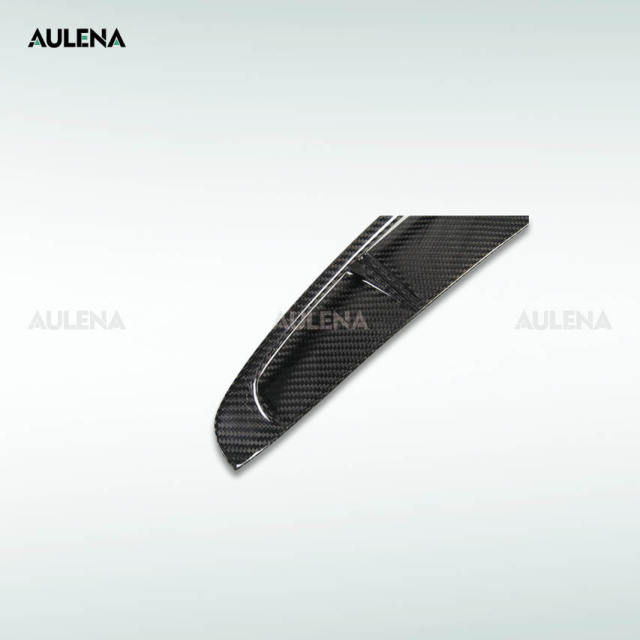 Porsche Panamera Aulena Fenders Trims