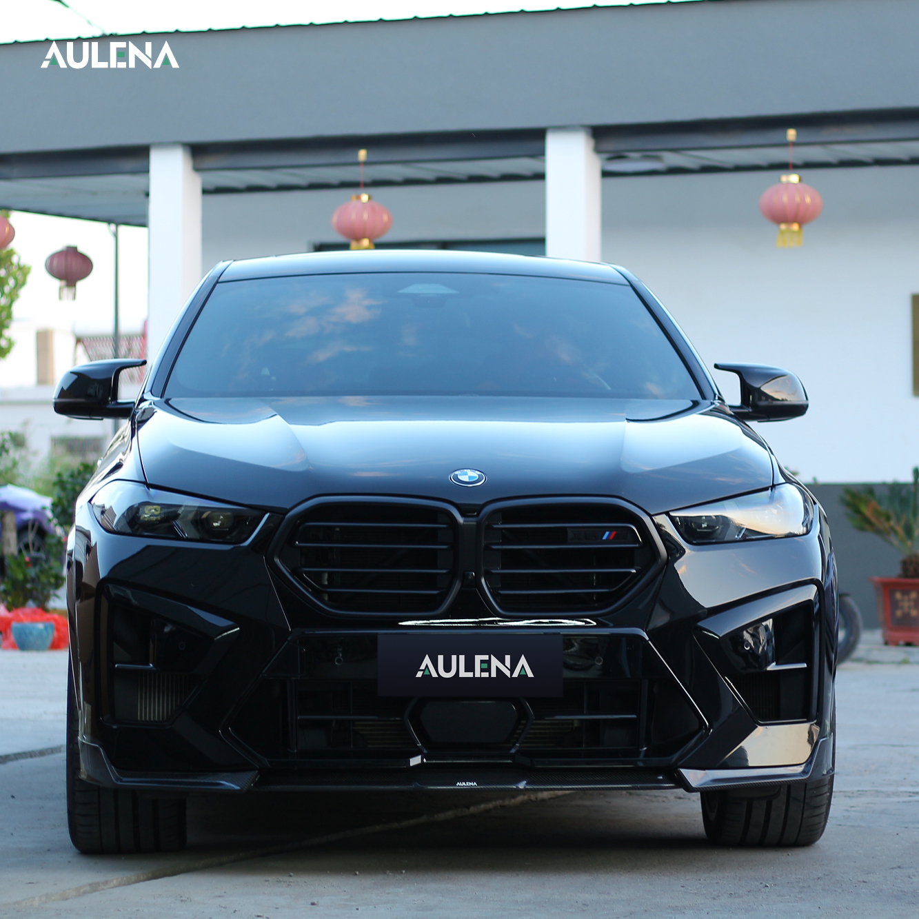 BMW X6M Aulena Design dry carbon Body Kit