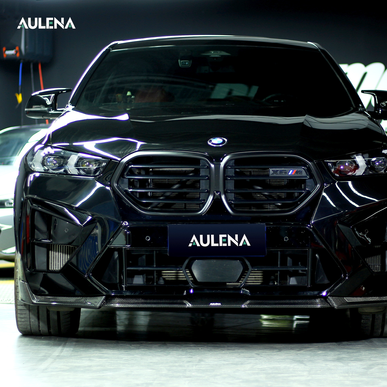 BMW X6M Aulena Design dry carbon Body Kit