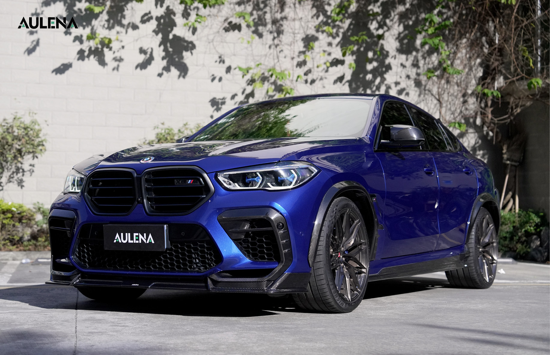 BMW X6M dry carbon Body Kit