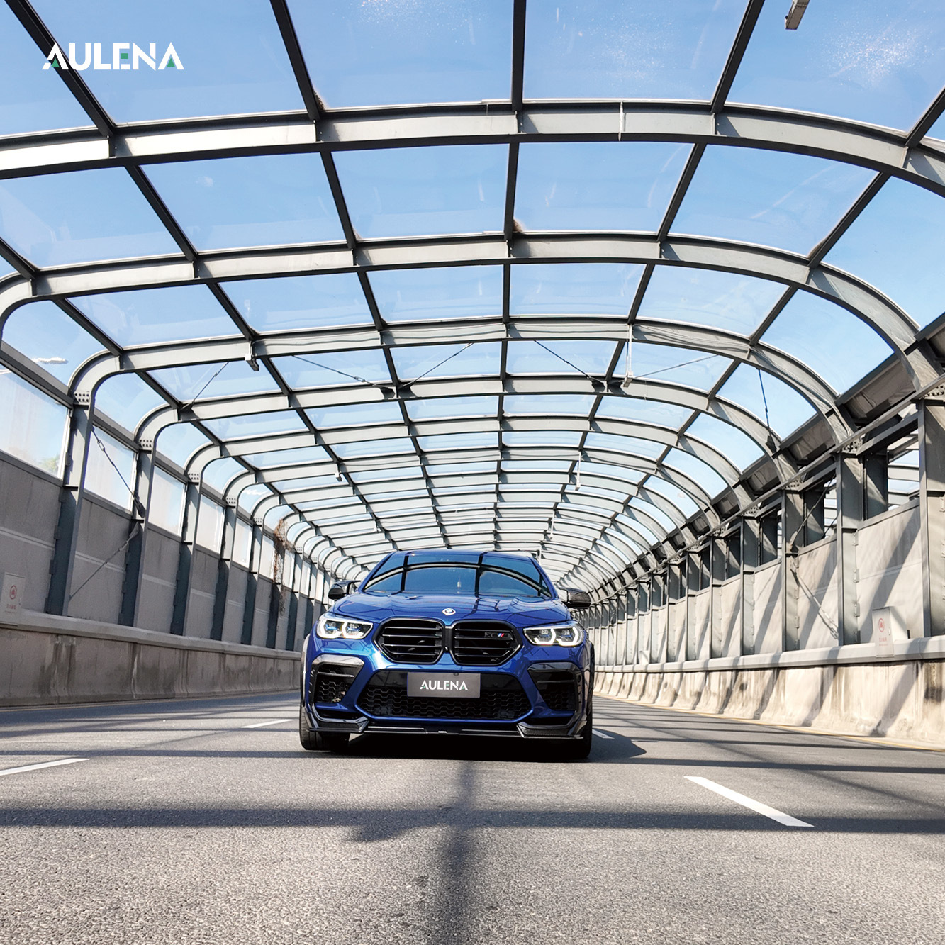 BMW X6M Aulena Design dry carbon Body Kit