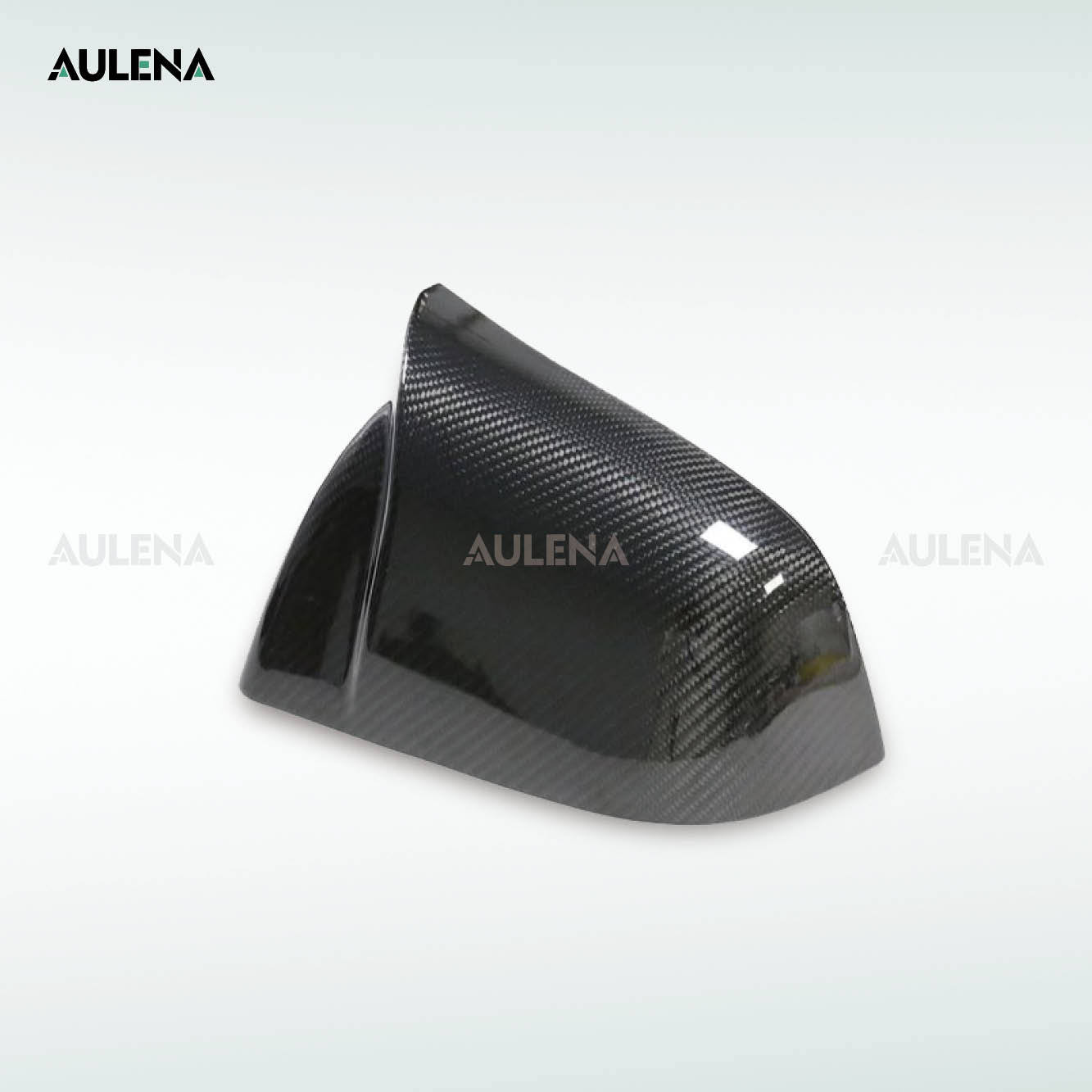 Tesla Model Y Aulena Design dry carbon performance Mirror Cover V2