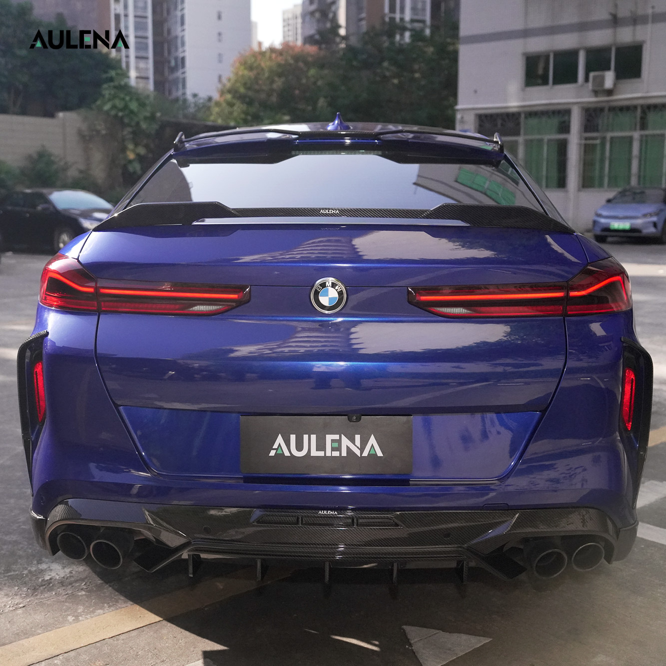 BMW X6M Aulena Design dry carbon performance Rear Wing