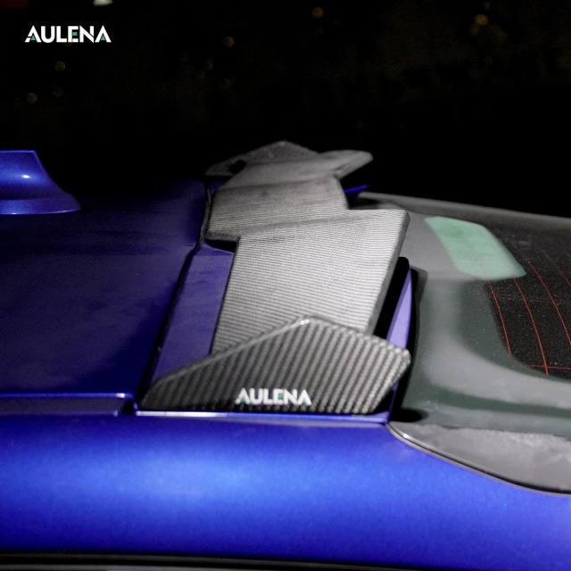 BMW X6M Aulena Design dry carbon performance Rear Spoiler
