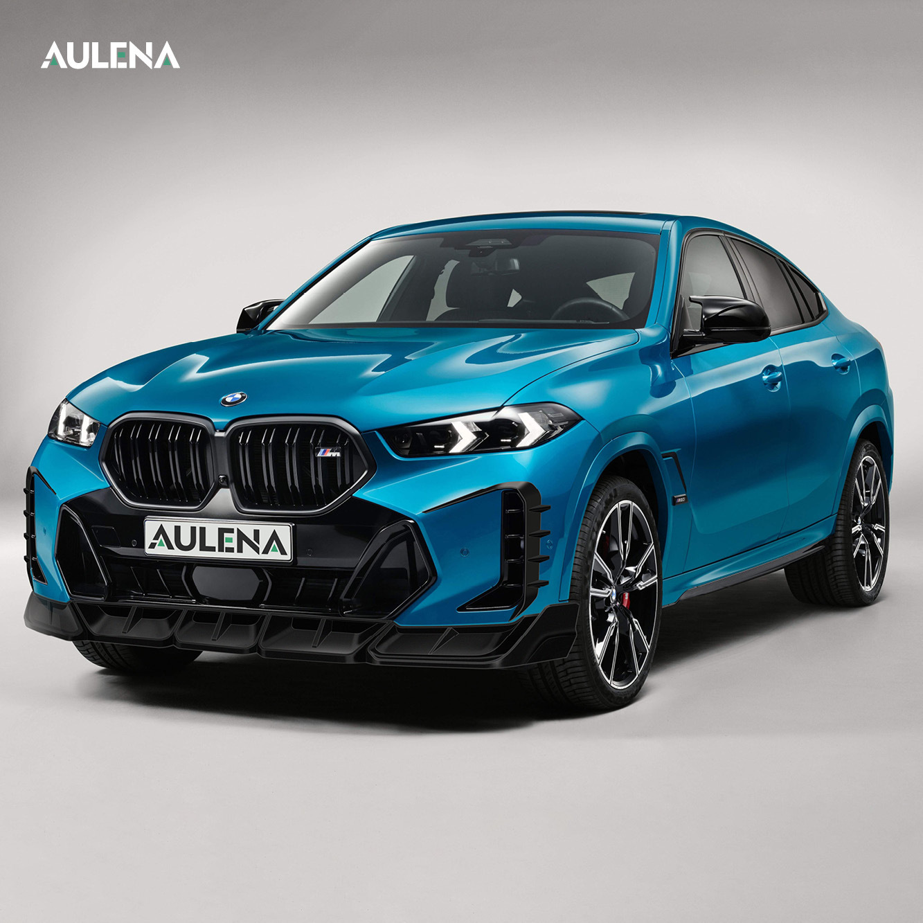 BMW X6 Aulena Design dry carbon performance Front Air Inlet Set car bumpers
