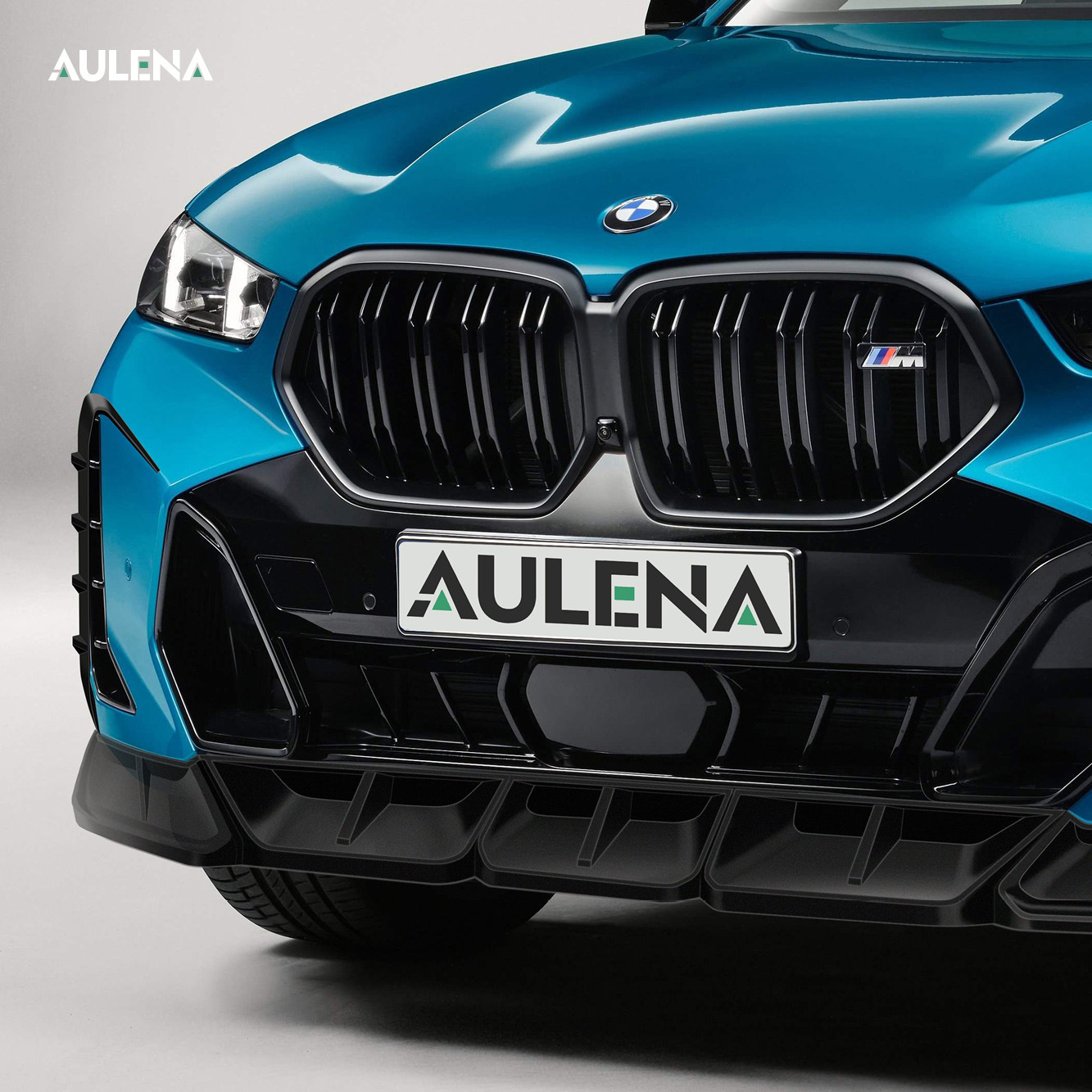 BMW X6 Aulena Design dry carbon performance Front Splitter