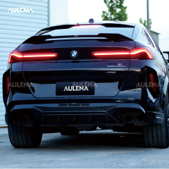 BMW X6 Aulena Design dry carbon performance Rear Canards
