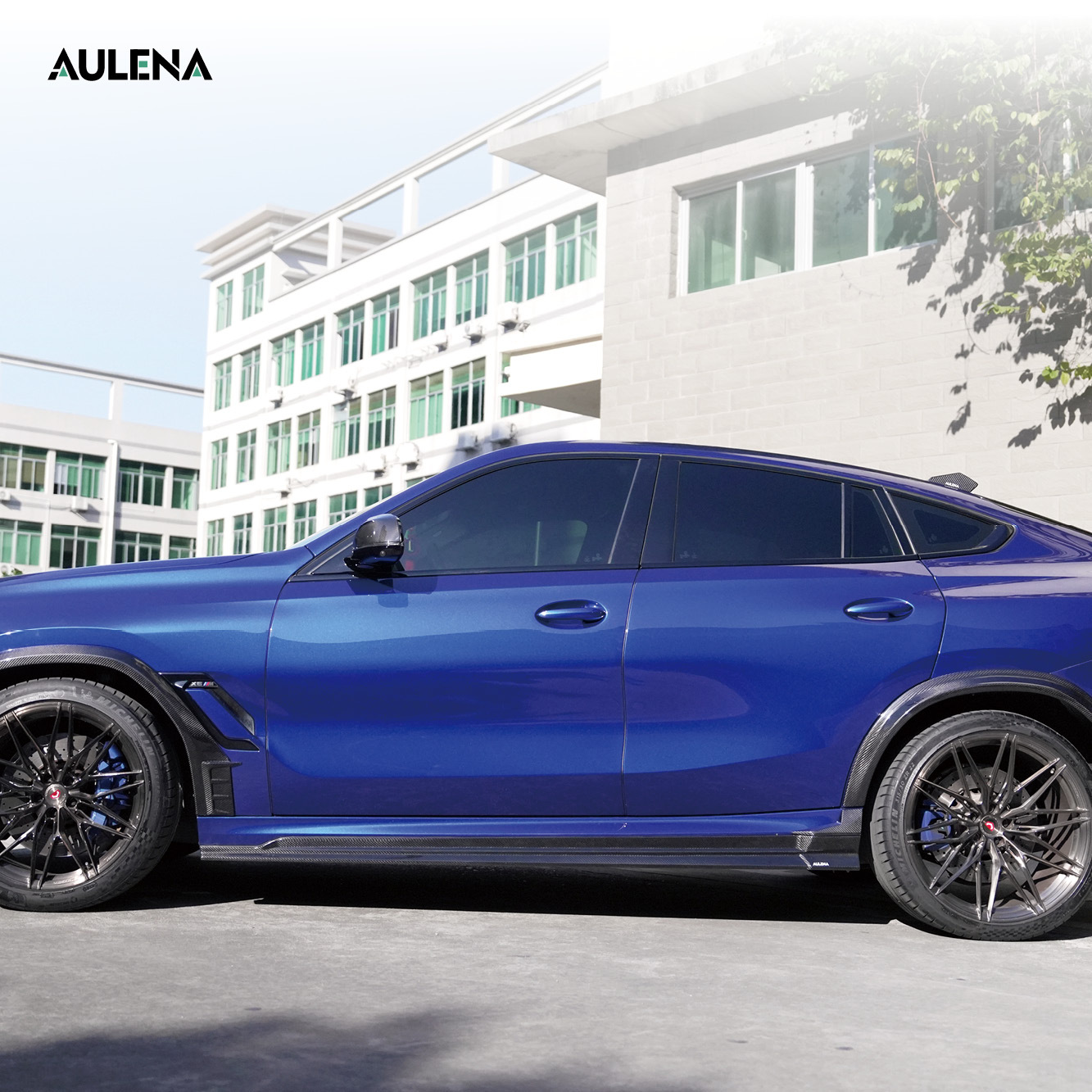 BMW X6 Aulena Design dry carbon performance Side Skirts
