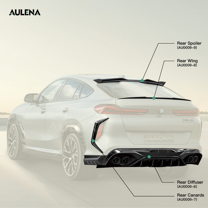 BMW X6M Aulena Design dry carbon performance body kit