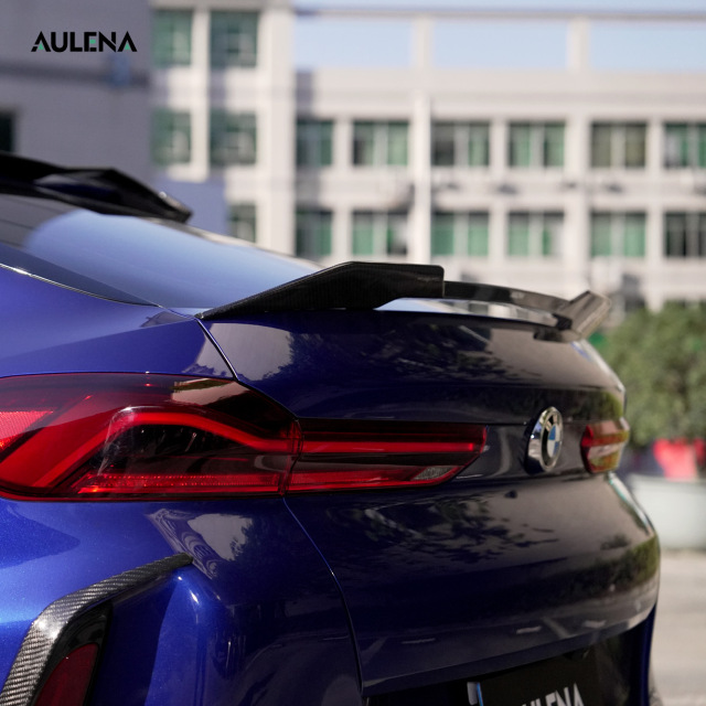BMW X6 Aulena Design dry carbon performance Rear Wing