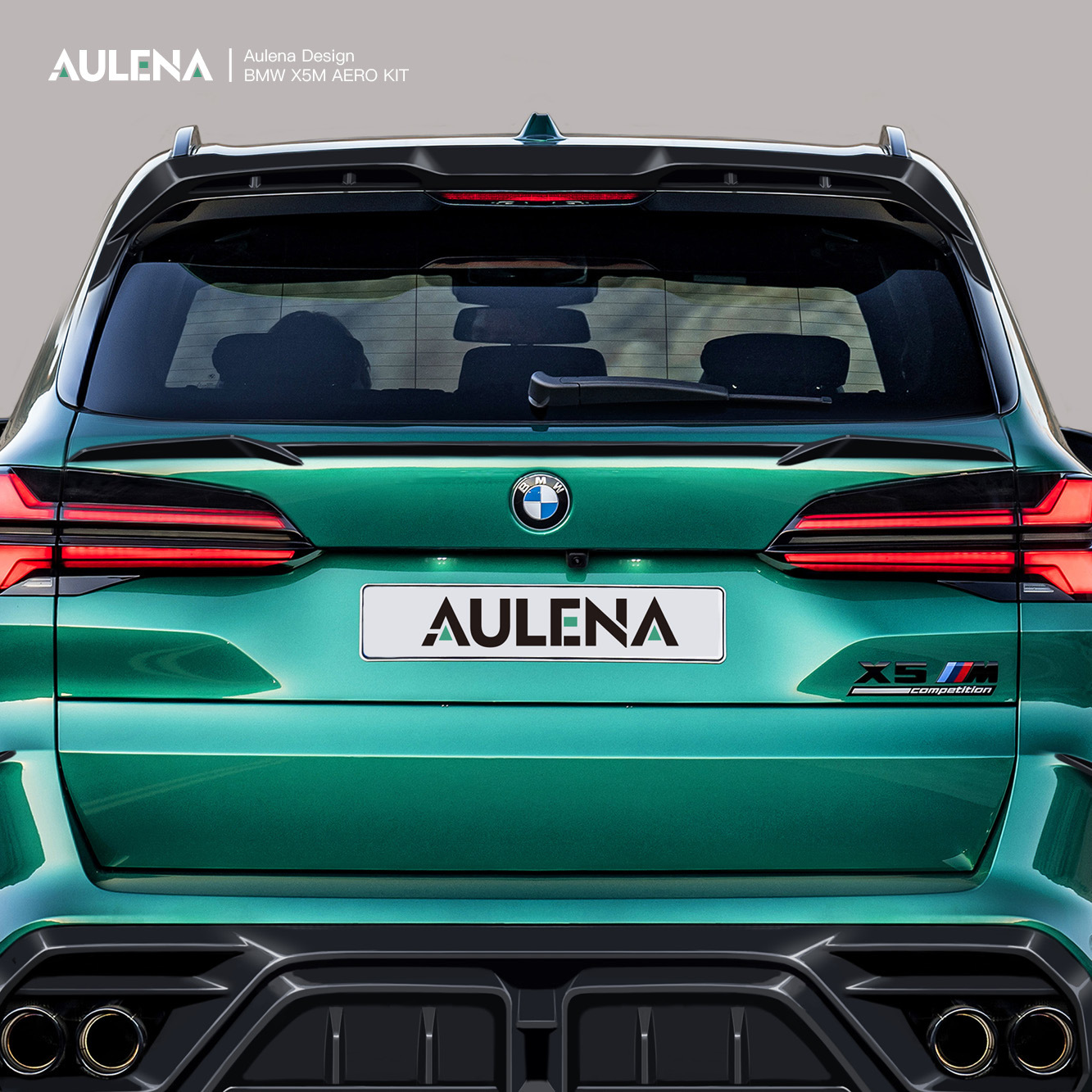 BMW X5M Aulena Design dry carbon bmw Rear Spoiler