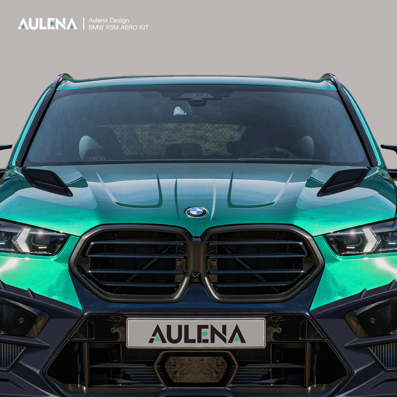 Aulena Design dry BMW X5M  carbon Hood