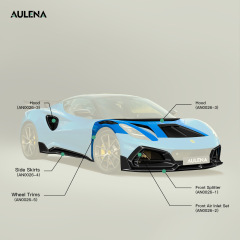 Aulena Design dry carbon performance for Lotus Emira Air Inlet Trims