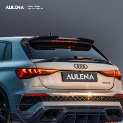 Audi RS3(8Y)  Aulena Design dry carbon performance audi rs3 8y body kit
