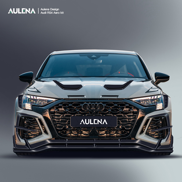 Audi RS3(8Y)  Aulena Design dry carbon performance audi rs3 8y body kit