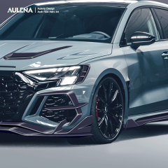 Audi RS3(8Y)  Aulena Design dry carbon performance audi rs3 8y body kit