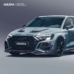 Audi RS3(8Y)  Aulena Design dry carbon performance audi rs3 8y body kit