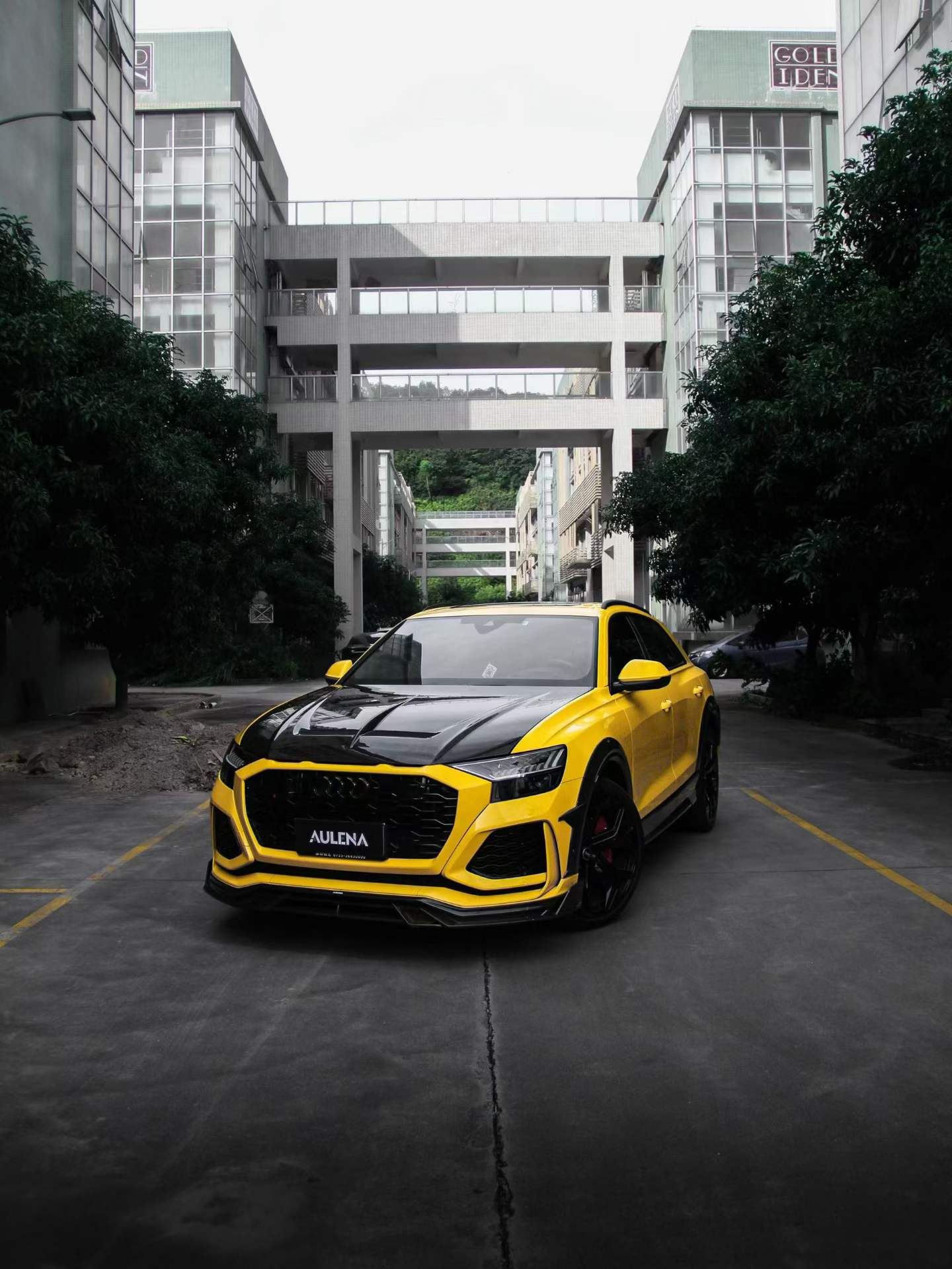 Audi RSQ8 Aulena Design dry carbon body kit