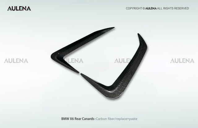 BMW X6 Aulena Design dry carbon performance Rear Canards