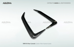 BMW X6 Aulena Design dry carbon performance Rear Canards