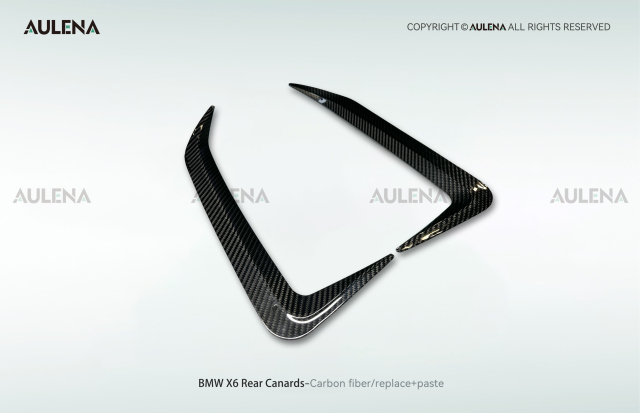 BMW X6 Aulena Design dry carbon performance Rear Canards