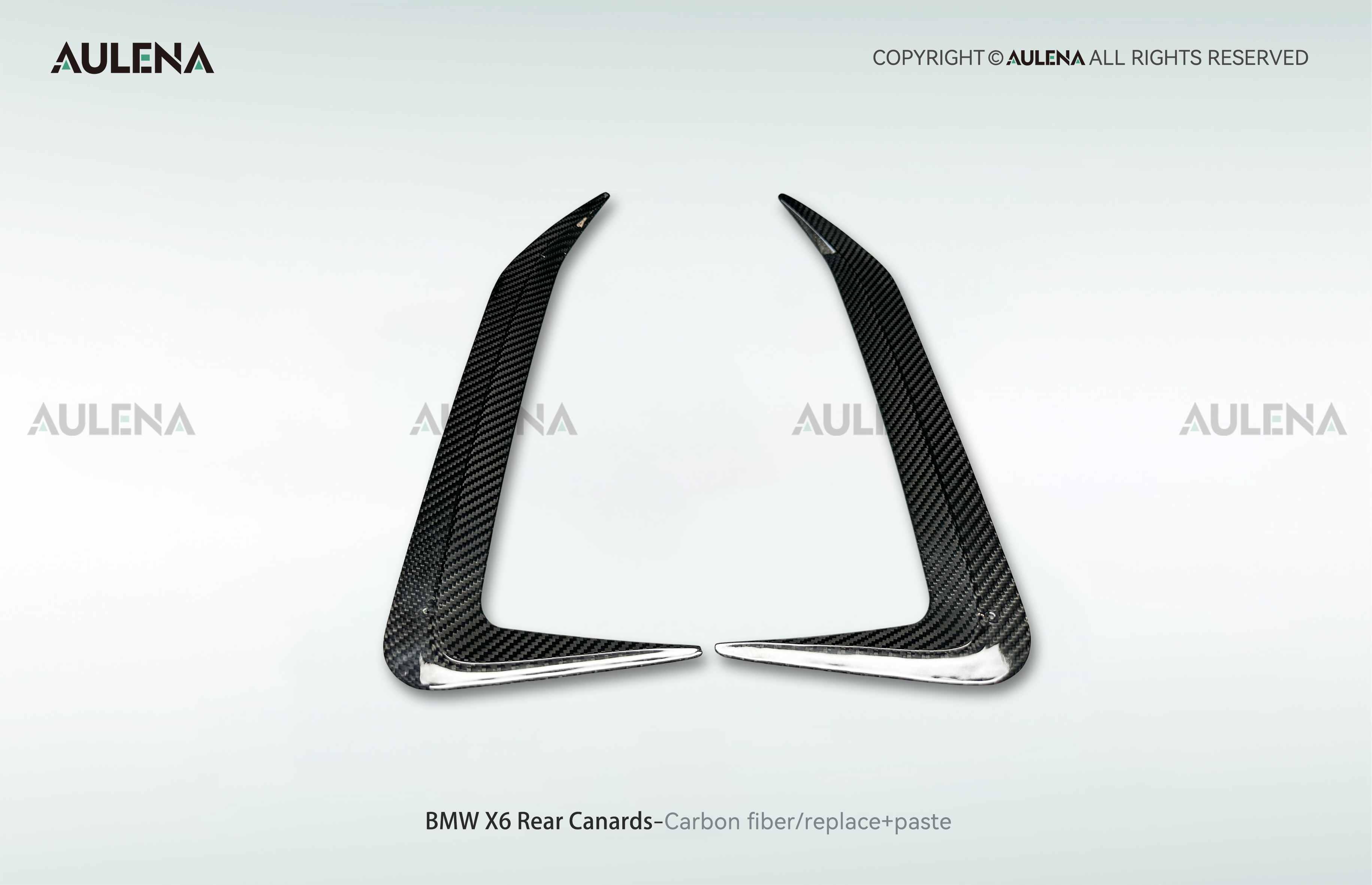 BMW X6 Aulena Design dry carbon performance Rear Canards