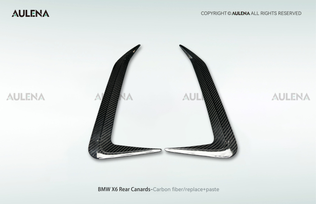 BMW X6 Aulena Design dry carbon performance Rear Canards