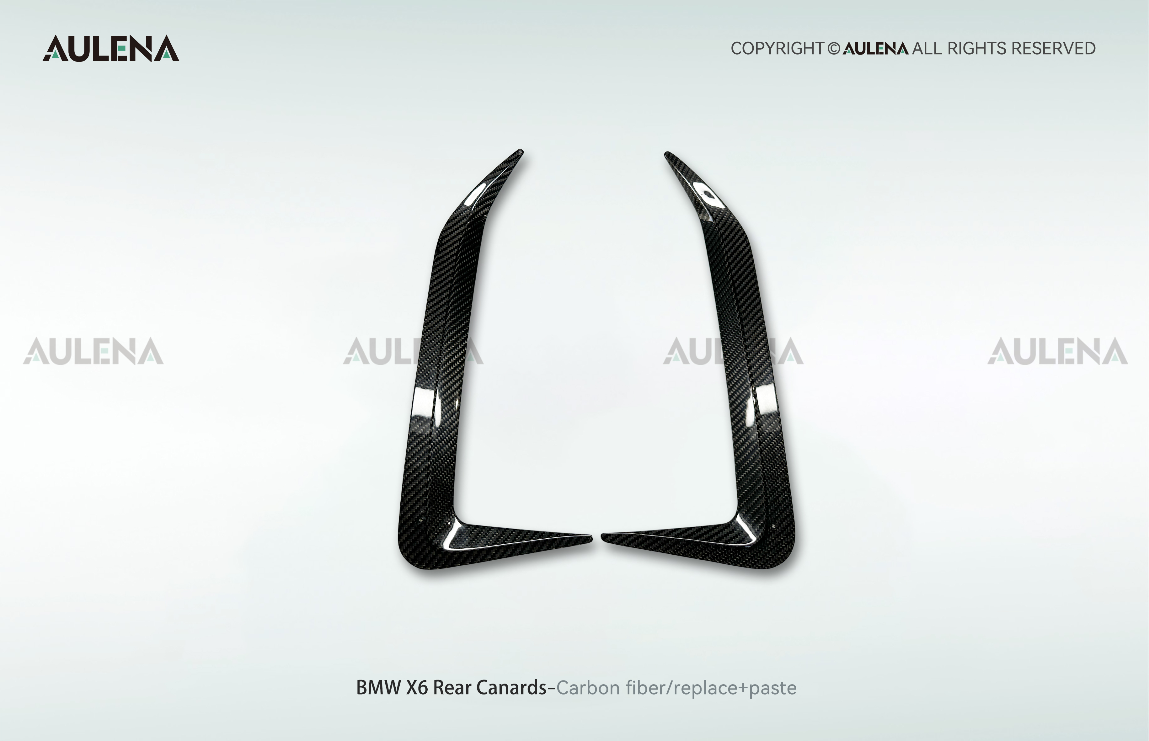 BMW X6 Aulena Design dry carbon performance Rear Canards