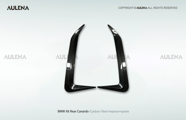 BMW X6 Aulena Design dry carbon performance Rear Canards