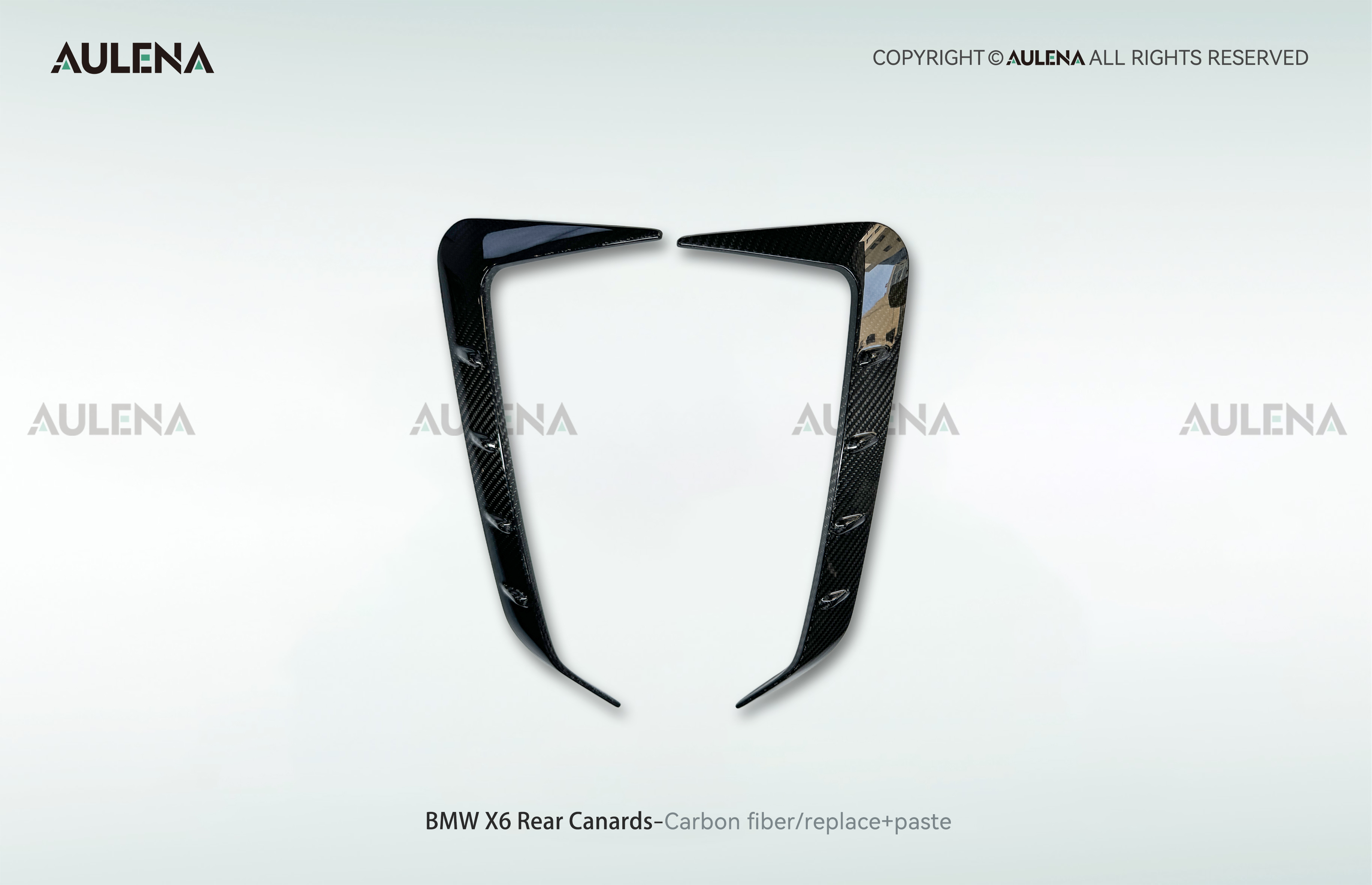 BMW X6 Aulena Design dry carbon performance Rear Canards