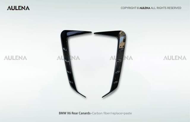 BMW X6 Aulena Design dry carbon performance Rear Canards