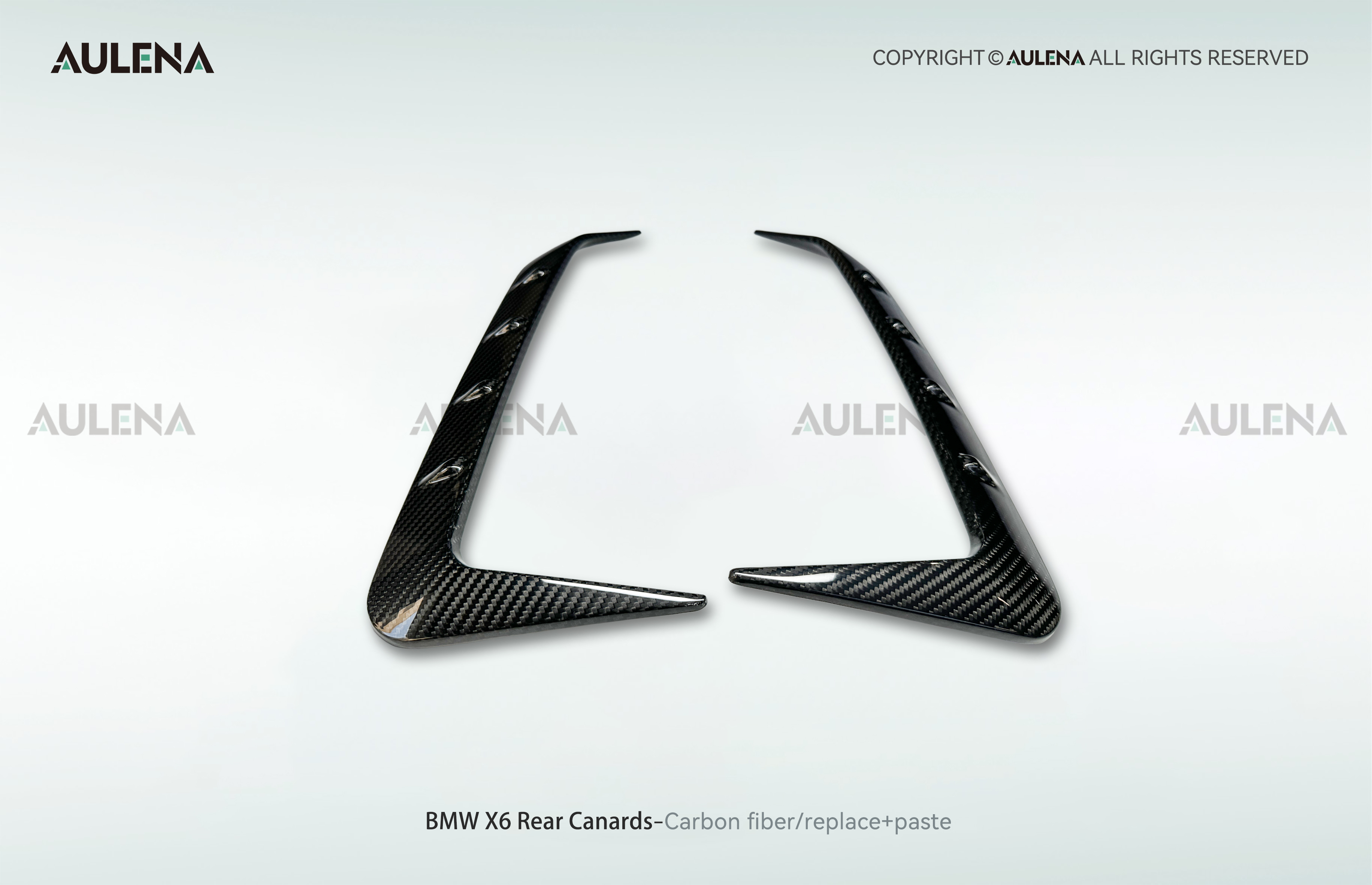 BMW X6 Aulena Design dry carbon performance Rear Canards