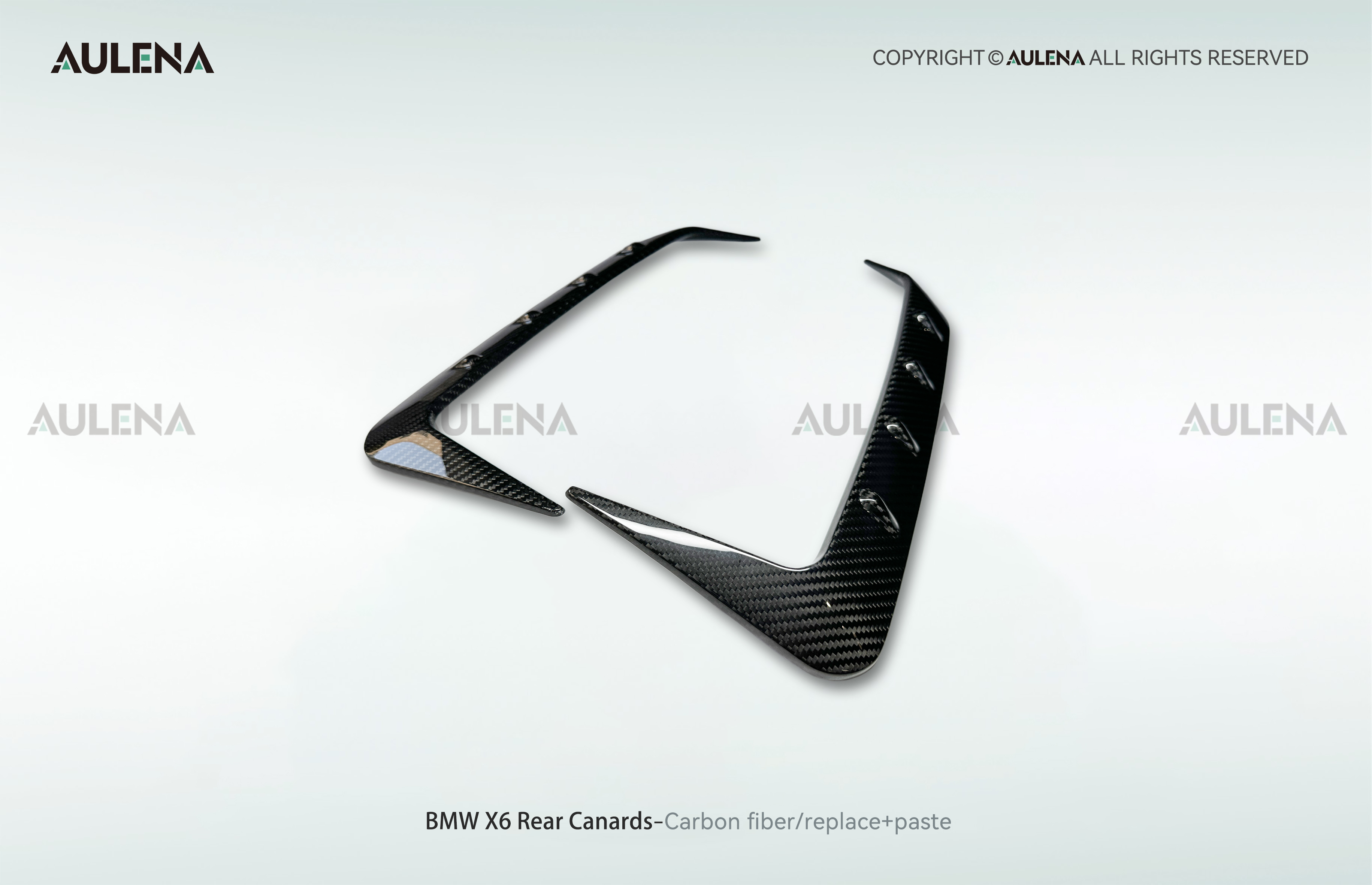 BMW X6 Aulena Design dry carbon performance Rear Canards